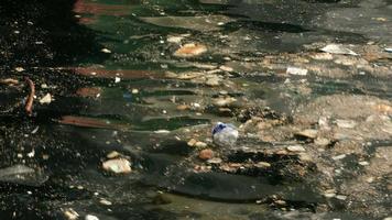 Wastes of plastic bottles and breads were swimming on sea surface at The Golden Horn Istanbul video