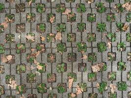 parking concrete grass cells photo