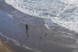 vista aérea sobre personas y aves marinas en el océano pacífico. foto
