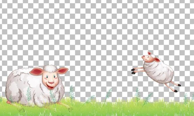 Sheep farm animal on grid background