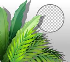 Nature plants frame background vector