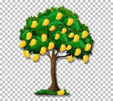 Mango tree on grid background vector