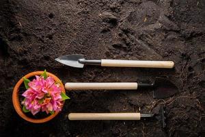 Rake and spades transplanting Tools with top view background. photo