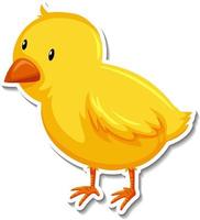 Cute yellow chick animal cartoon sticker vector