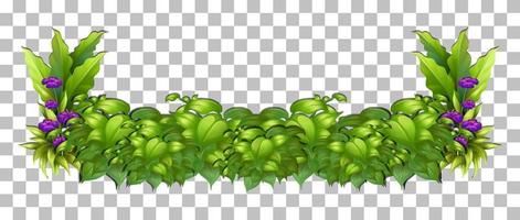 Tropical plant on grid background vector