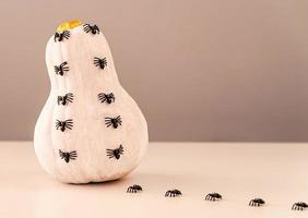 white halloween pumpkin with spiders photo