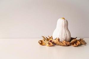 Modern white colored pumpkin with golden stem on the pile of dry autumn leaves on white table with copy space photo