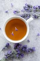 Cup of lavender tea photo