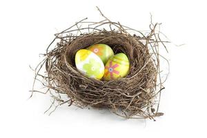 Easter eggs in nest photo