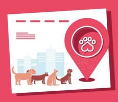 pets and footprint in location vector