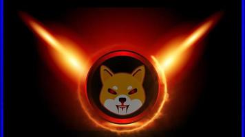 Shiba inu SHIB crypto currency illustration with ring of fire background video