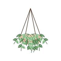 hanging potted plant vector