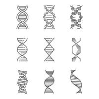 DNA spirals linear icons set. Deoxyribonucleic, nucleic acid helix. Molecular biology. Genetic code. Genetics. Thin line contour symbols. Isolated vector outline illustrations. Editable stroke