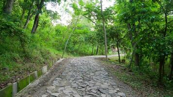 View of the road to the river in asia photo