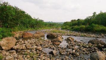 view of a river and forest in asia photo