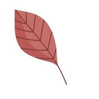 leaf flora nature foliage cartoon icon isolated style vector