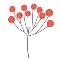 branch berries nature cartoon icon isolated style vector
