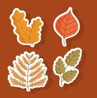 set of autumnal leaves vector