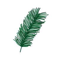 branch pine tree foliage nature icon design vector