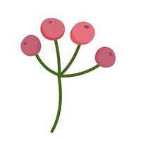 branch berries foliage natural ornament icon vector