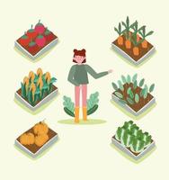 girl organic gardening and farming vector