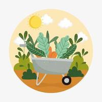 garden wheelbarrow with carrots vector