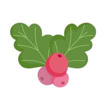 merry christmas, holly berry celebration icon isolation vector