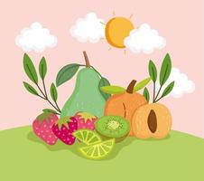 healthy fresh fruit vector