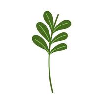 branch foliage leaf decoration cartoon icon white background vector