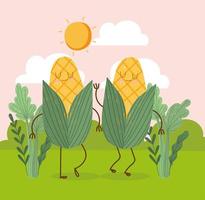 cute corns in grass vector