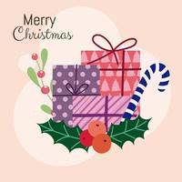 merry christmas gift boxes candy cane and holly berry card vector