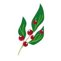 foliage berry floral bloom natural icon isolated design vector