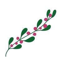 foliage leaves berry floral plant icon isolated design vector