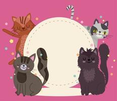 mascotas gato animales dibujos animados felino con plantilla de etiqueta vector