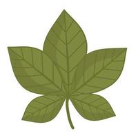 leaf ecology botancial cartoon icon isolated style vector