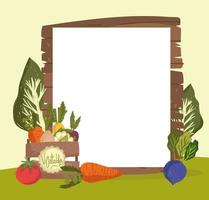vegetables and empty banner vector