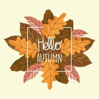 hello autumn frame leaves vector