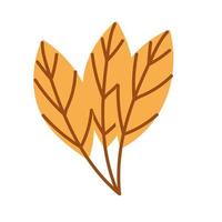 autumn leaves nature vector