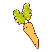 carrot fresh vegetable food, line and fill icon vector