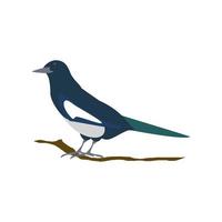 bird on branch tree vector