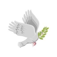 dove with olive branch vector