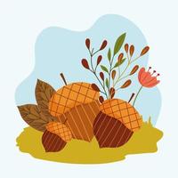 acorn and foliage vector