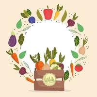 vegetables food fresh vector