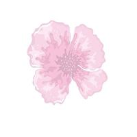 flower delicate floral painting isolated design vector