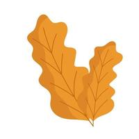 autumnal leaves foliage vector