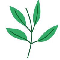 natural branch leaves plant foliage icon design vector