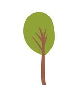 green tree round vector