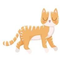 pretty cat illustration vector