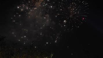 der bunte himmel der echten feuerwerksfeier am himmel bei nacht, 4k. video