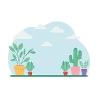 plants in pots vector